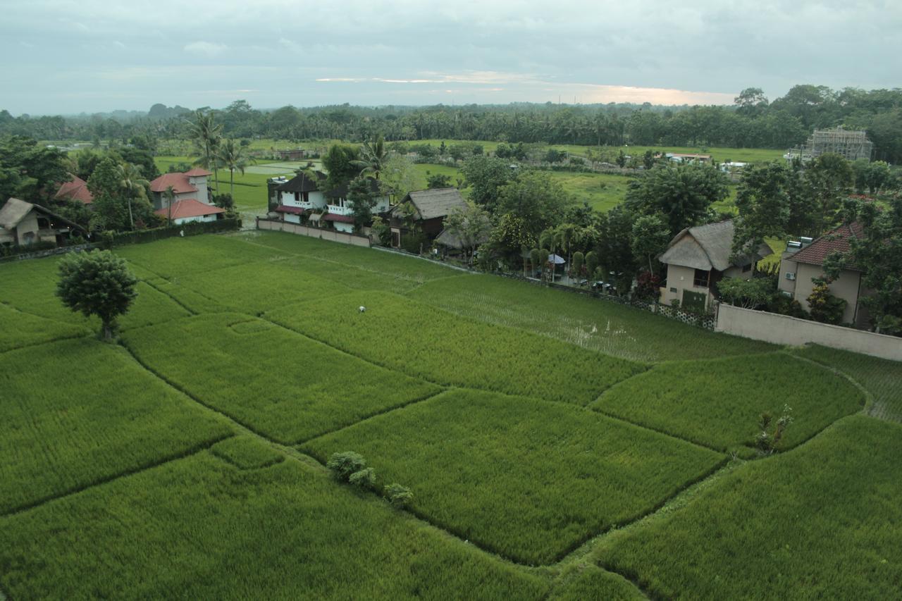 The Evitel Resort Ubud Dış mekan fotoğraf